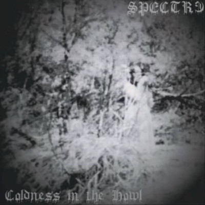 Spectre - Coldness in The Howl LP